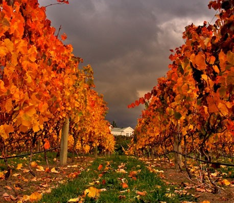 全天秒发卡的在线短信轰炸测试