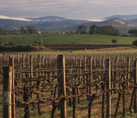 智能故障预测的艾皇短信测压